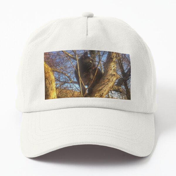 Katze Morle auf dem Flieder Dad Hat