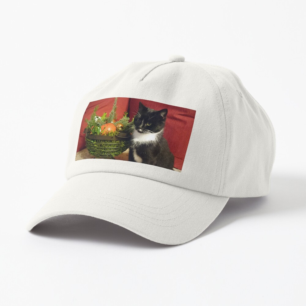 Katze Mimi mag Weihnachten Cap