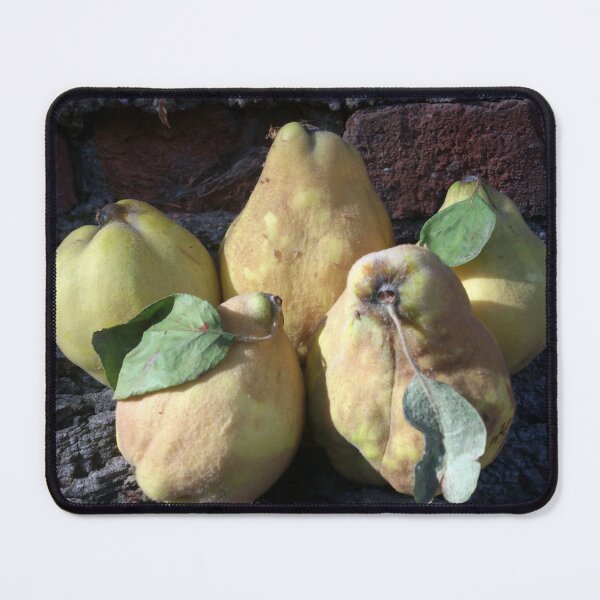 Item preview, quince designed and sold by Gourmetkater.