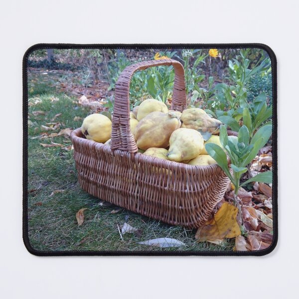 Item preview, Quinces in the basket designed and sold by Gourmetkater.