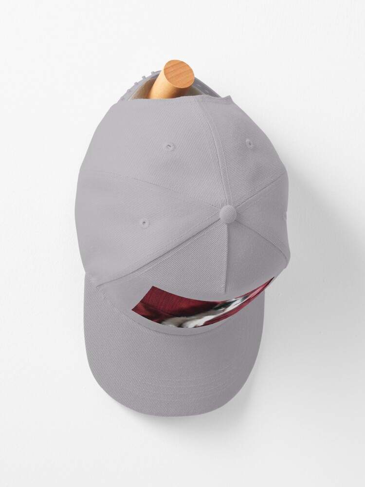 Alternative Ansicht von Katze in Rot Cap