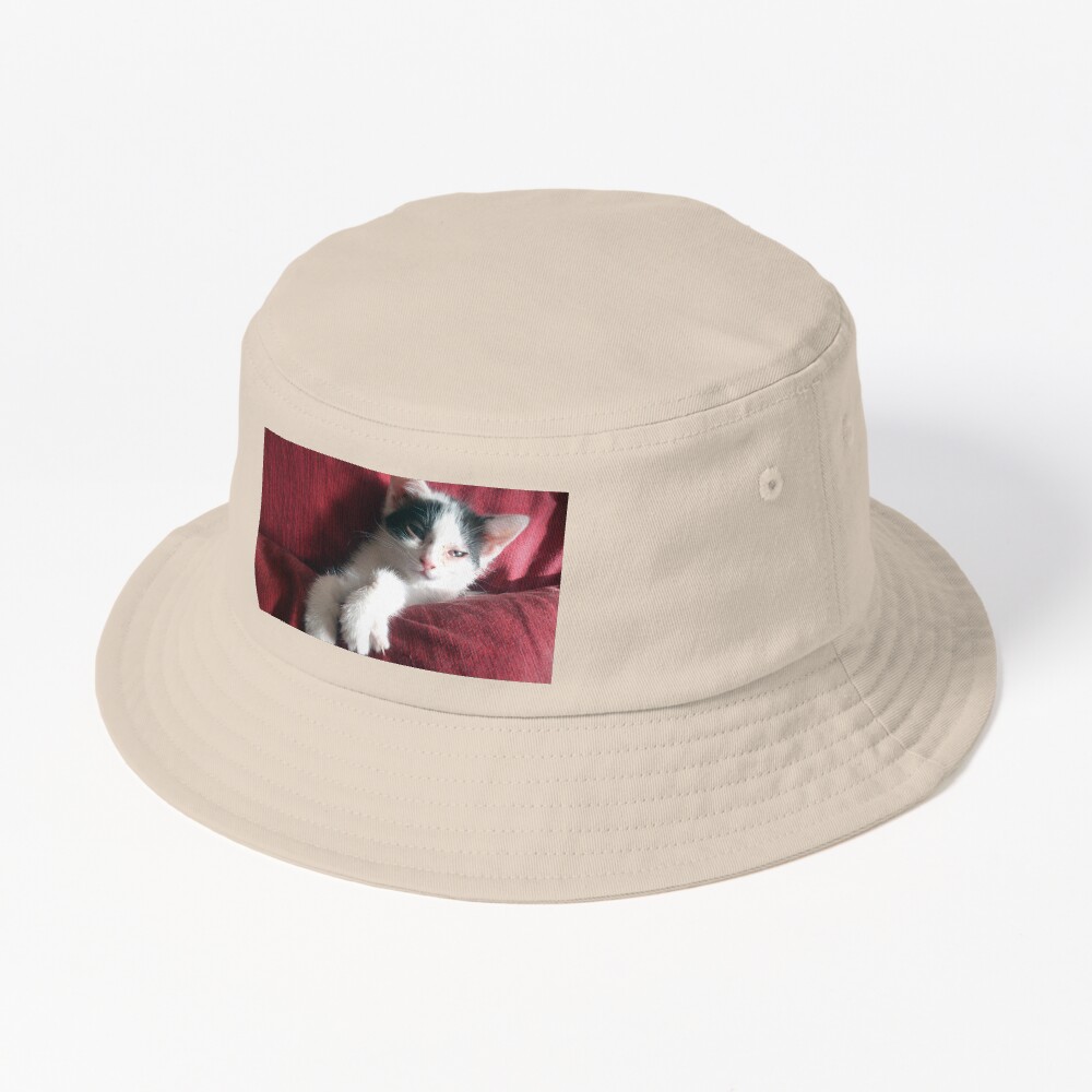 Artikel-Vorschau von Bucket Hat, designt und verkauft von Gourmetkater.