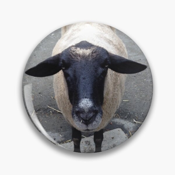 Item preview, Sheep Print designed and sold by pictobean.
