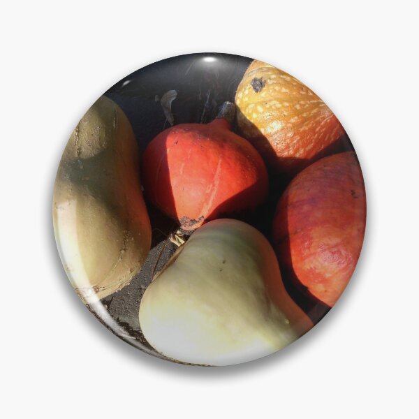 Item preview, Colorful pumpkins designed and sold by Gourmetkater.