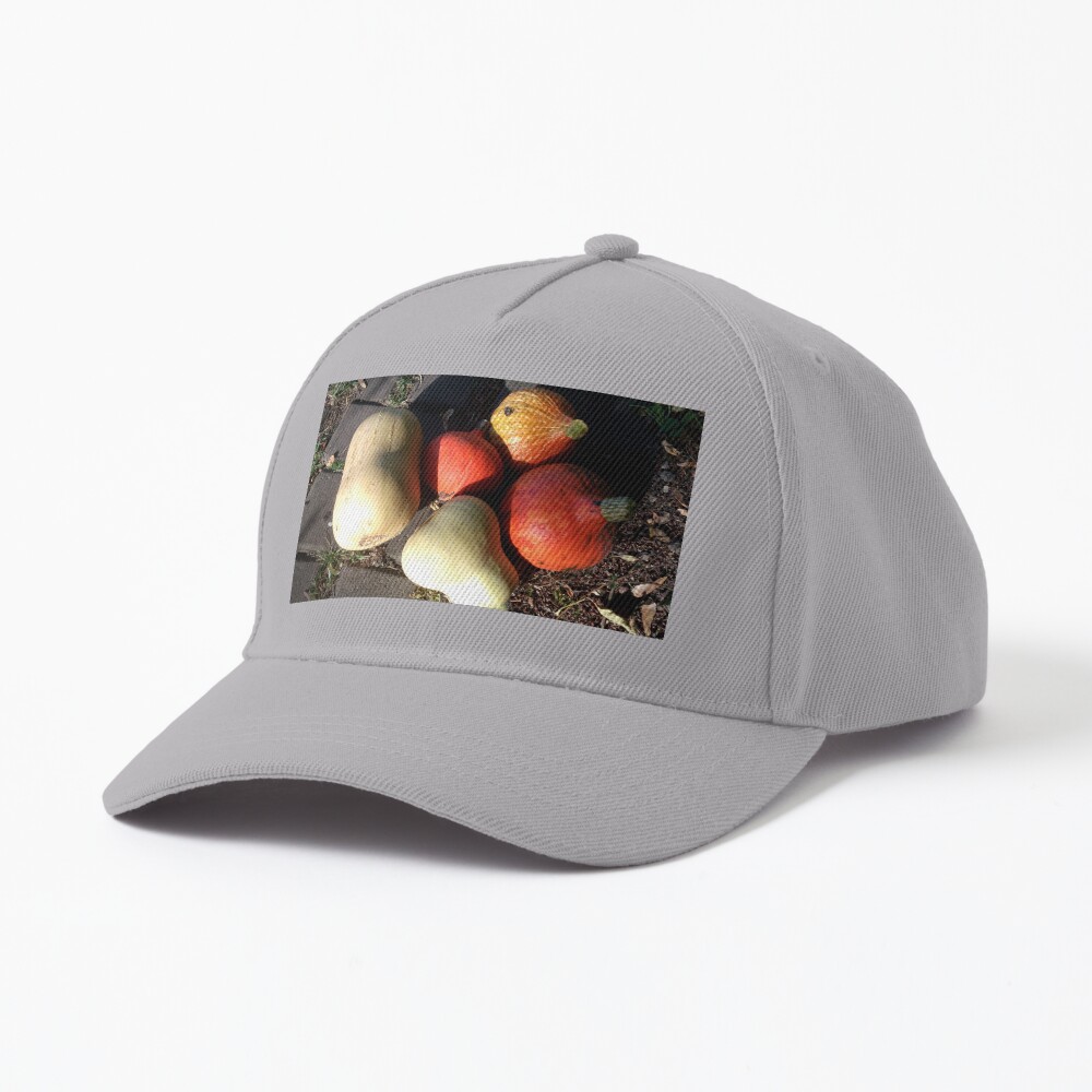 Bunte Kürbisse Cap