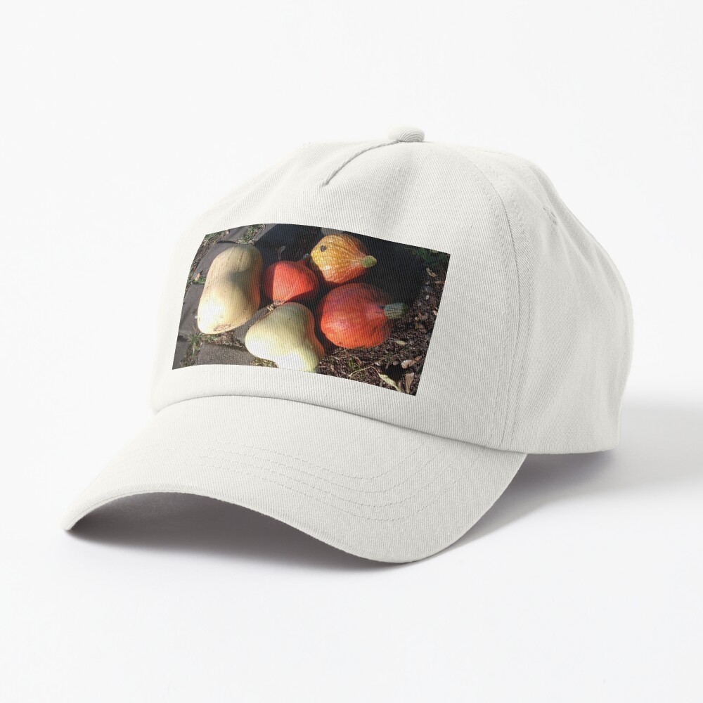 Bunte Kürbisse Cap