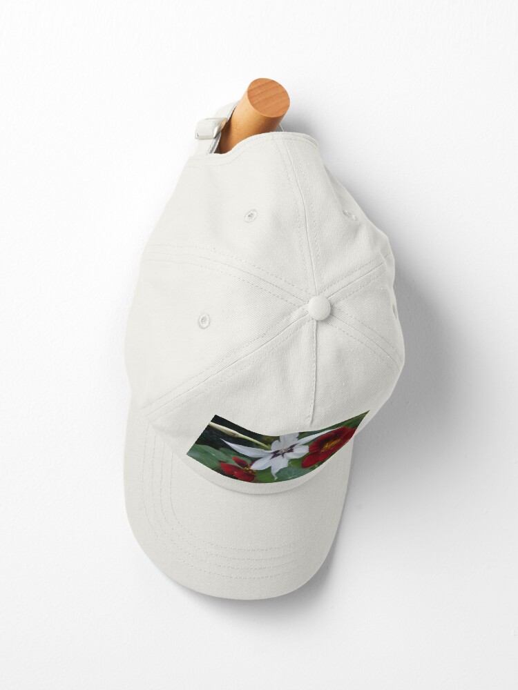 Alternative Ansicht von Blüten Cap