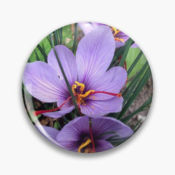 Item preview, saffron designed and sold by Gourmetkater.