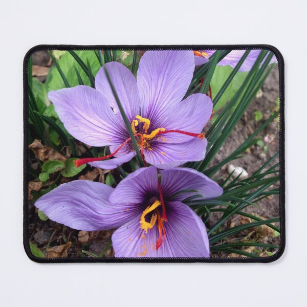 Item preview, saffron designed and sold by Gourmetkater.
