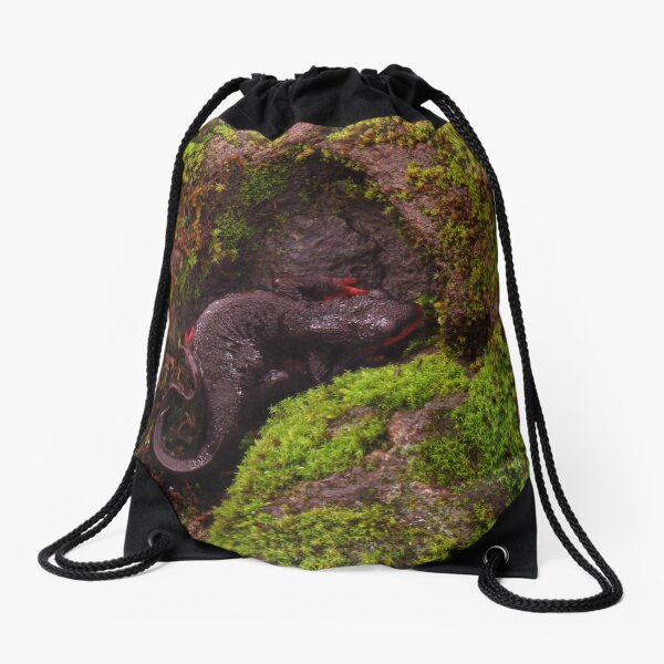 Western Orange-Bellied Newt on Moss Drawstring Bag