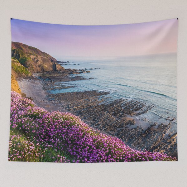 Artikelvorschau, Speke's Mill Mouth, North Devon entworfen und verkauft von Craig Joiner.