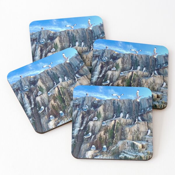 Item preview, A group of Seagulls - Farne Islands designed and sold by DesignedByEmma1.