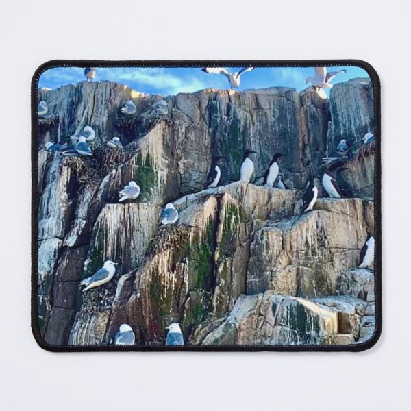 Item preview, A group of Seagulls - Farne Islands designed and sold by DesignedByEmma1.