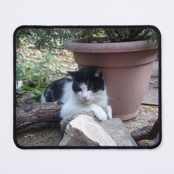 Item preview, Cat Kitti in the garden designed and sold by Gourmetkater.