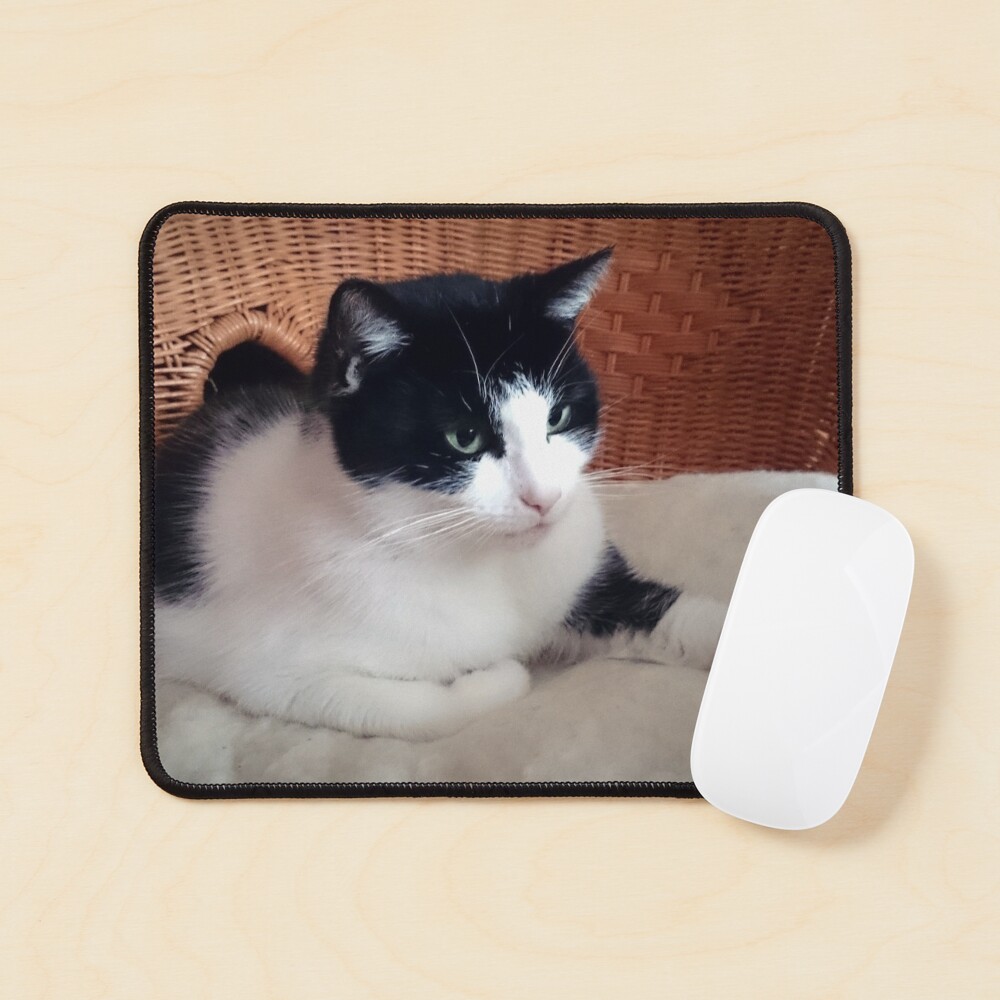 Katze Kitti auf dem Sessel Mauspad