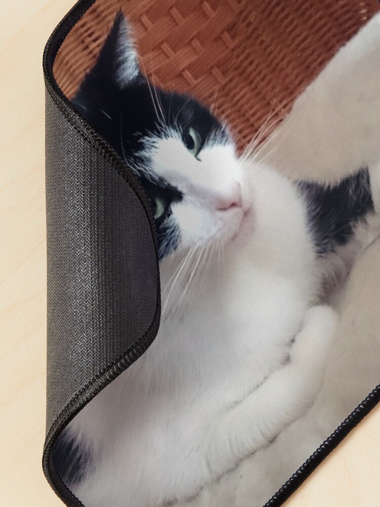 Alternative Ansicht von Katze Kitti auf dem Sessel Mauspad