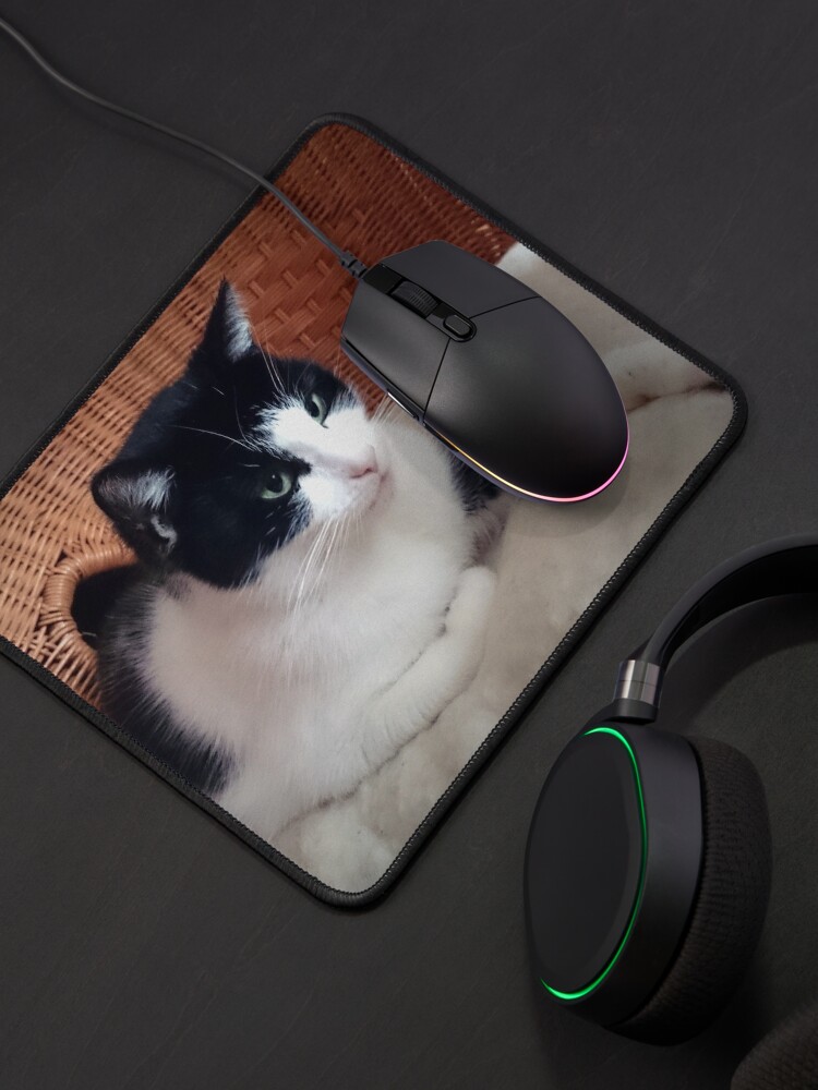Alternative Ansicht von Katze Kitti auf dem Sessel Mauspad