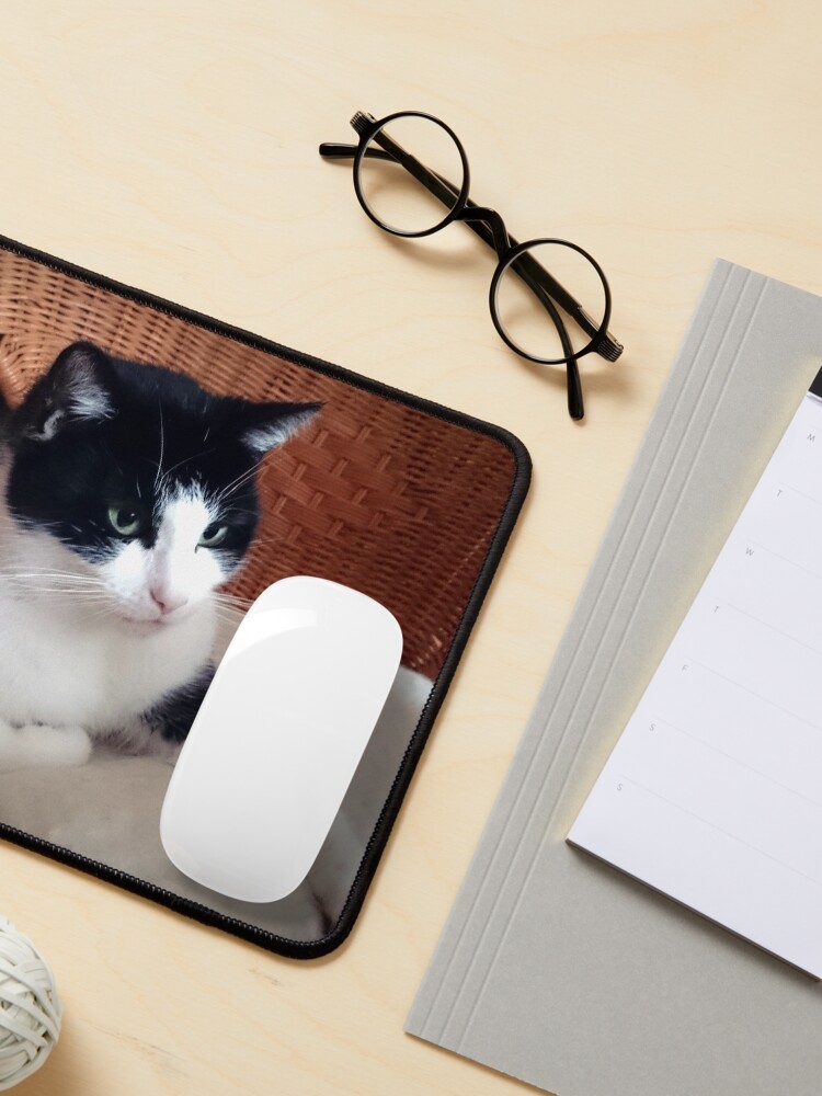 Alternative Ansicht von Katze Kitti auf dem Sessel Mauspad