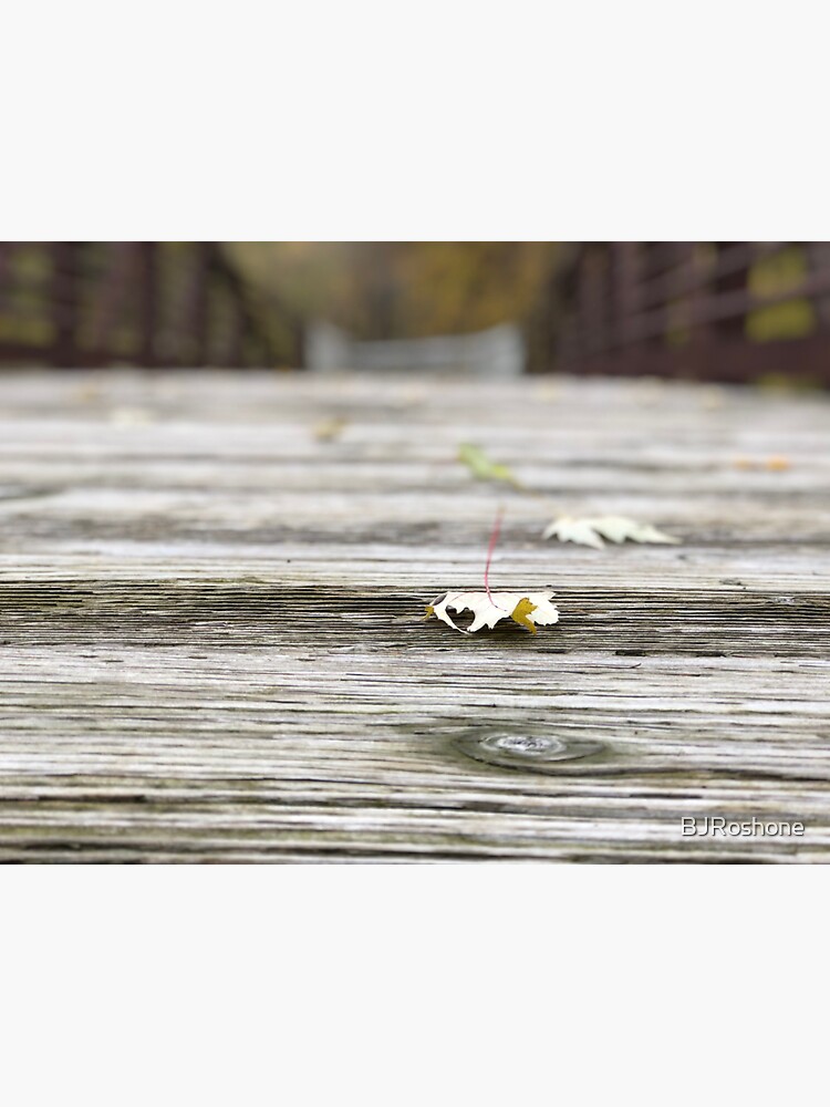 Love on the Path by BJRoshone