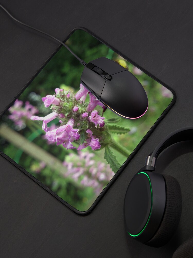 Alternative Ansicht von Blüte mit Biene Mauspad