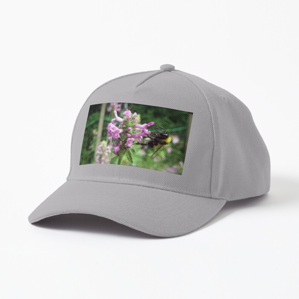 Artikel-Vorschau von Baseball Cap, designt und verkauft von Gourmetkater.