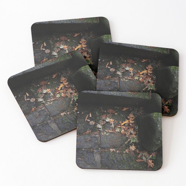 Item preview, Dry leaves on the ground with moss stones designed and sold by ChillShot.
