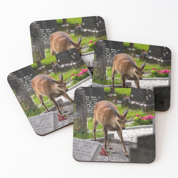 Item preview, Young deer on the Irish Graveyard of Muckross Abbey, an Old Irish Monastery in Killarney National Park designed and sold by AlbertMi.