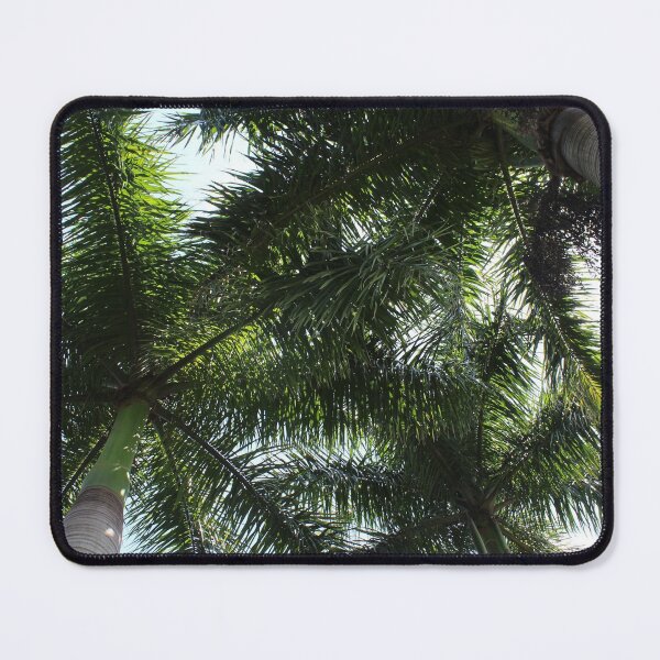 Item preview, The Tops Of The Palm Trees designed and sold by Lexipooh76.