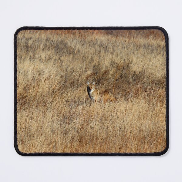 Blend Mouse Pad