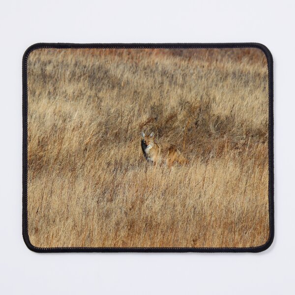 Item preview, Blend designed and sold by Wannabe Wandering Co..