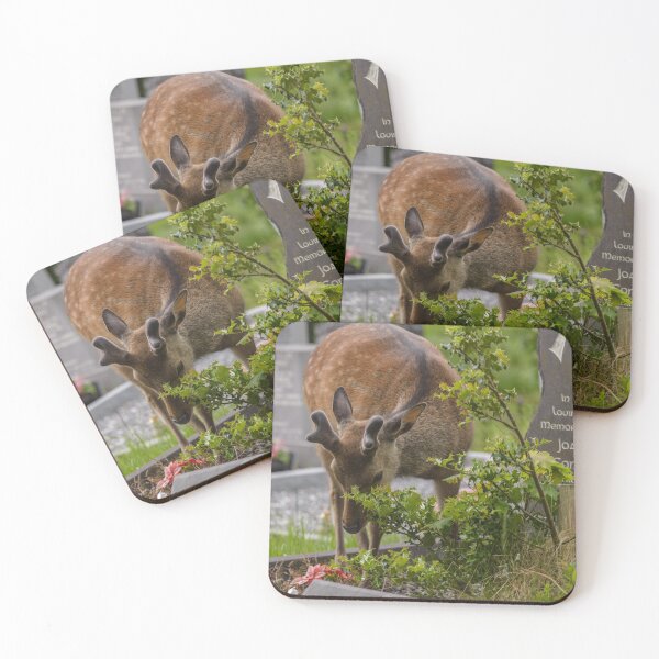 Item preview, Young deer on the Irish Graveyard of Muckross Abbey, an Old Irish Monastery in Killarney National Park designed and sold by AlbertMi.