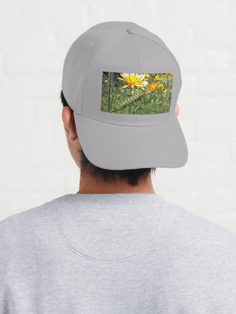 Alternative Ansicht von Raupe Cap