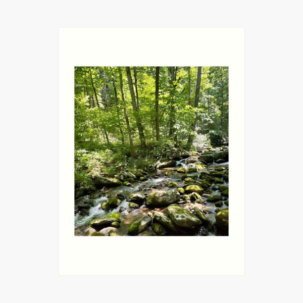 Peaceful Setting Art Print