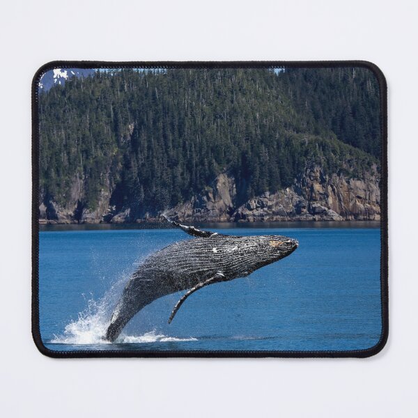 Item preview, Humpback Whale Leaping out of the Water designed and sold by Sonya Umble.