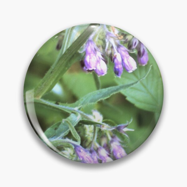 Item preview, comfrey designed and sold by Gourmetkater.