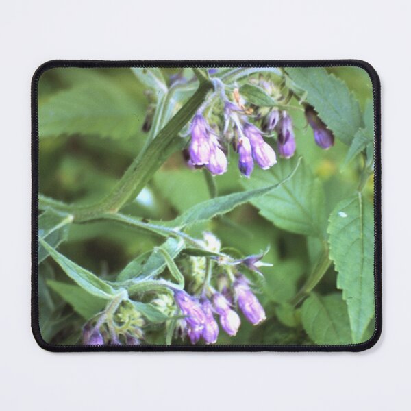 Item preview, comfrey designed and sold by Gourmetkater.