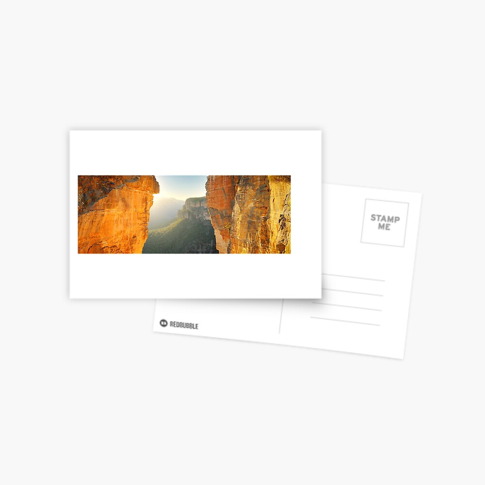 Between Cliffs, Blue Mountains, New South Wales, Australia Postcard