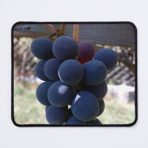 Item preview, Grape Blue Bernburger designed and sold by Gourmetkater.