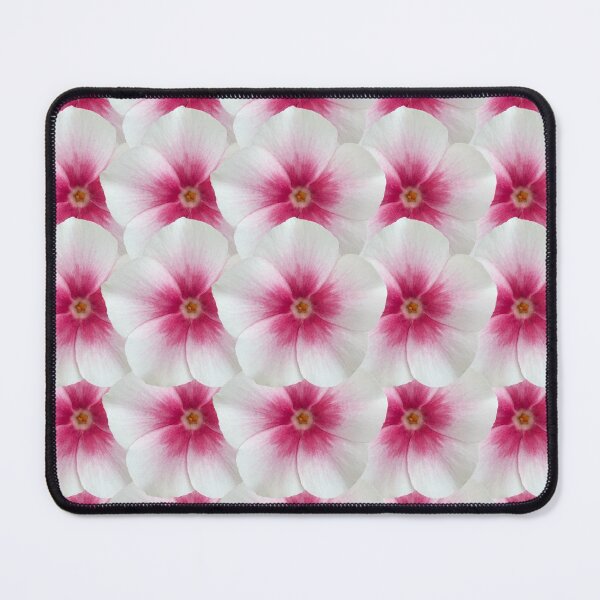 Item preview, White and Pink Phlox Flower Still Life Floral Photography designed and sold by CottoVerdi.