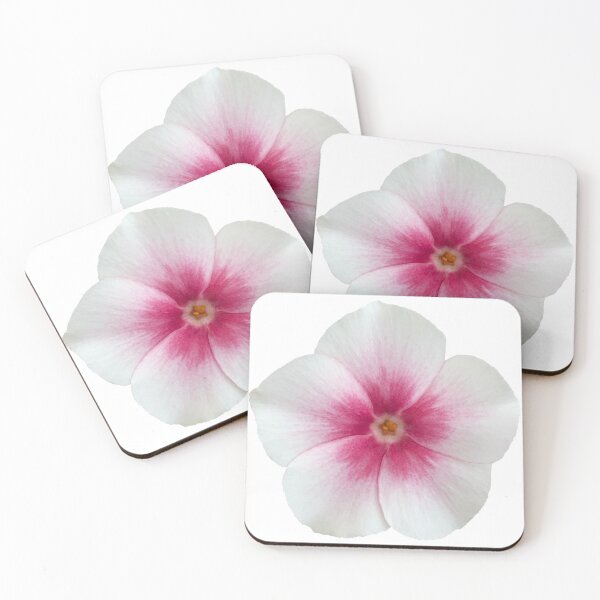 Item preview, White and Pink Phlox Flower Still Life Floral Photography designed and sold by CottoVerdi.