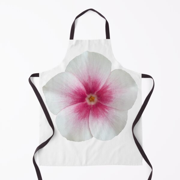 Item preview, White and Pink Phlox Flower Still Life Floral Photography designed and sold by CottoVerdi.