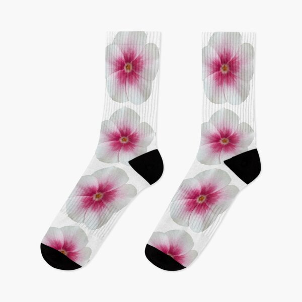 Item preview, White and Pink Phlox Flower Still Life Floral Photography designed and sold by CottoVerdi.