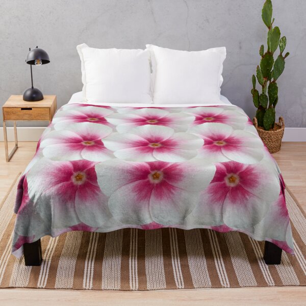 Item preview, White and Pink Phlox Flower Still Life Floral Photography designed and sold by CottoVerdi.