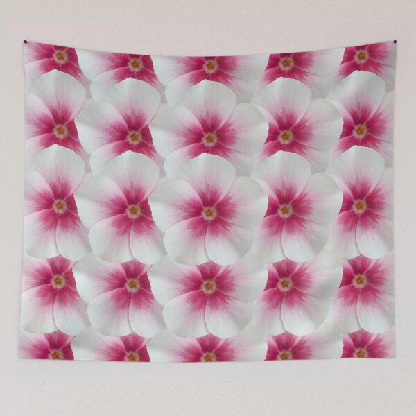 Item preview, White and Pink Phlox Flower Still Life Floral Photography designed and sold by CottoVerdi.