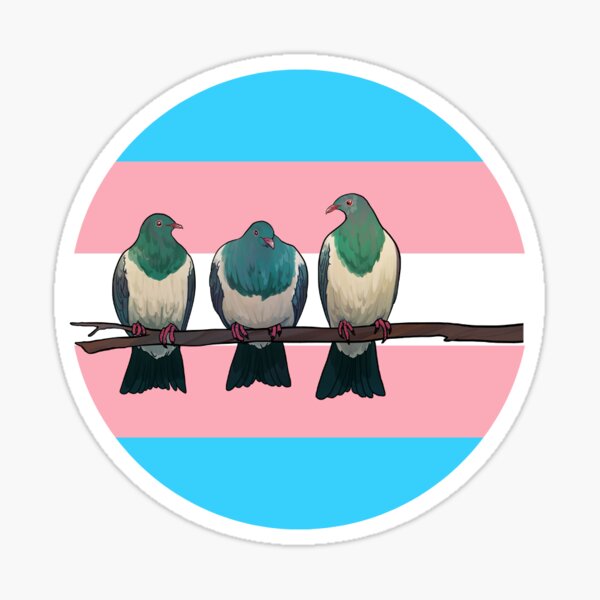 Kererū - trans flag Sticker