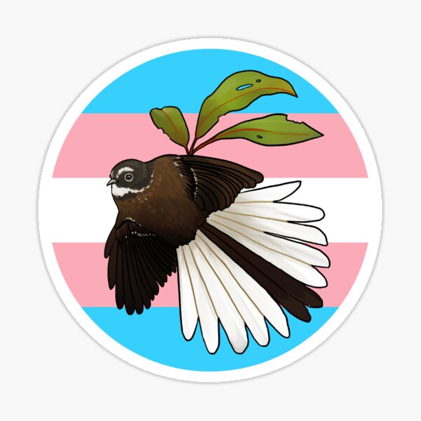 Pīwakawaka - trans flag Sticker