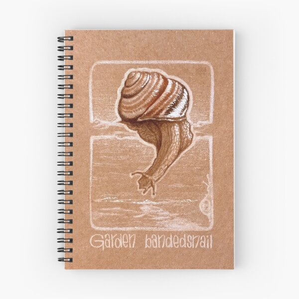 Aperçu de l'œuvre Escargot de jardin bagué créée et vendue par LoisaArt.