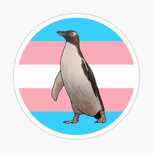 Hoiho - trans flag Sticker