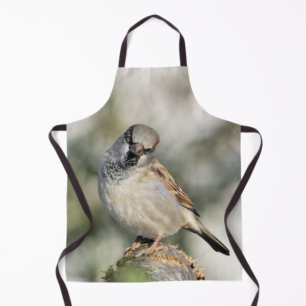Item preview, r1015 / New Finition 2021 -- Moineau des Villages de Campagne - (c)(t) Olavia-Olao Okaio Créations designed and sold by o.okaïo.