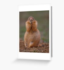 Prairie Dog with Funny Expression Greeting Card